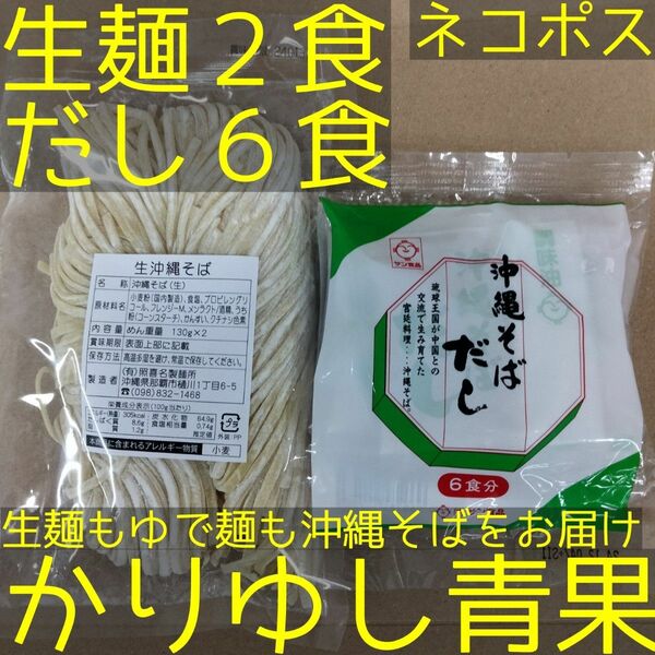 沖縄そば 照喜名〈生麺〉2食（130g×2×1袋）+だし6食【ネコポス投函】③