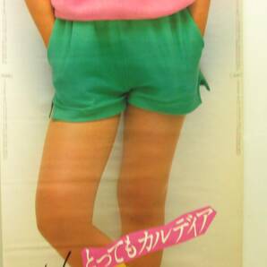 う「小泉今日子 FUJIコンパクトカメラ カルデイア 1985カレンダー 宣伝 特大ポスター」の画像4