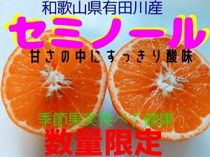 セミノール※和歌山県有田産※数量限定※格安※果物