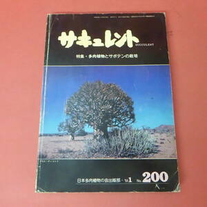 YN5-240426*sakyu Len to200 number Japan succulent plant. . publish part 