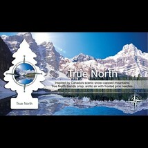 Little Trees True North（トゥルー・ノース）_画像3