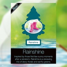 Little Trees Rainshine（レインシャイン）_画像3