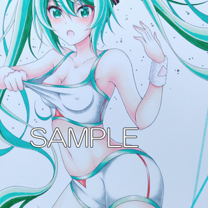 同人手描きイラスト 初音ミク A4 セパレートユニフォームの画像6