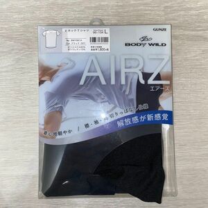 AIRSZ GUNZE ボディワイルド　Lサイズ　ＶネックTシャツ