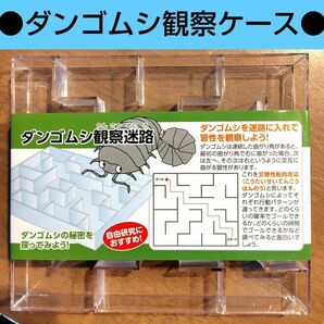 ダンゴムシ観察迷路　１個　迷路　ダンゴムシ　だんごむし　夏休み　自由研究　セリア　Seria　観察ケース　