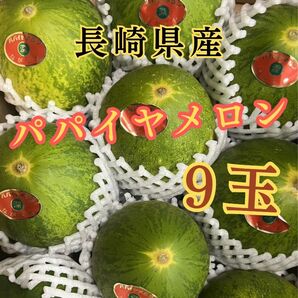 ！本日限定！『パパイヤメロン』（9玉入り）お買い得 果物 贈答用 送料無料