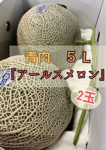 高級『アールスメロン』5Lサイズ（2玉入り）メロン 果物 送料無料