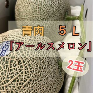 『アールスメロン』5Lサイズ（2玉入り）メロン 果物 送料無料