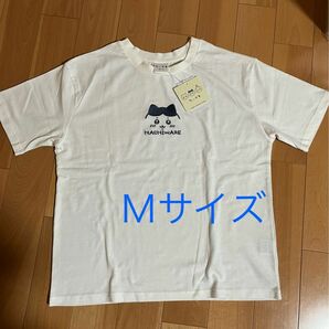 ちいかわ ハチワレ　Honeys 半袖Tシャツ　Mサイズ レディース　靴下のおまけ付き