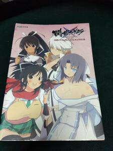 中古■攻略本■閃乱カグラ SHINOVI VERSUS -少女達の証明- 公式パーフェクトバイブル+イラスト集■ネコポス対応