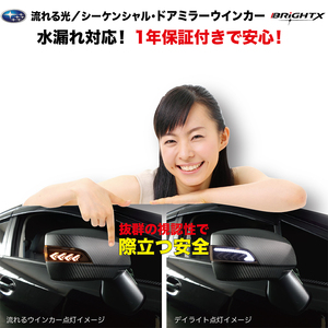 シーケンシャル 流れる ウインカー LED スバル レガシィ ツーリングワゴン BR9 型～ 2009/05～2011/05 1年間保証 カラー インナーブラック