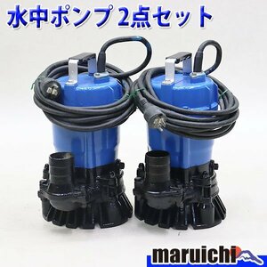 【1円】 水中ポンプ ツルミ HS2.4S 2点セット 100V 60Hz 口径50mm 清水用 農業 送水 鶴見製作所 建設機械 整備済 福岡発 売切り 中古 382