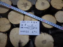 産卵木　ナラ　13本　ＮＯ、4132　約 6.2ｋｇ　100サイズ　☆奈良県ＰＯＷＥＲ☆_画像2