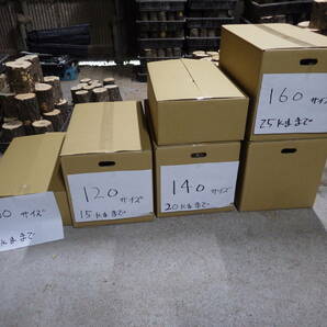 セール品 産卵木 くぬぎ・ナラ 12本 ＮＯ、4295 約 7.0ｋｇ 100サイズ ☆奈良県ＰＯＷＥＲ☆の画像3