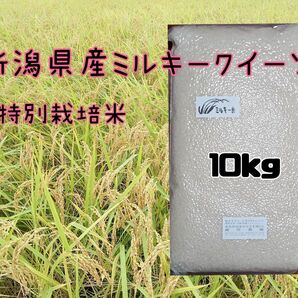 特別栽培米新潟県産ミルキークイーン10k