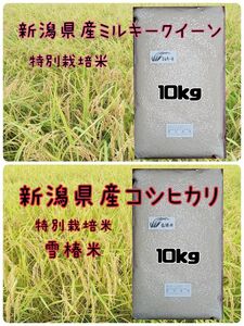 新潟県産コシヒカリ10kとミルキークイーン10k、食べ比べセット20k