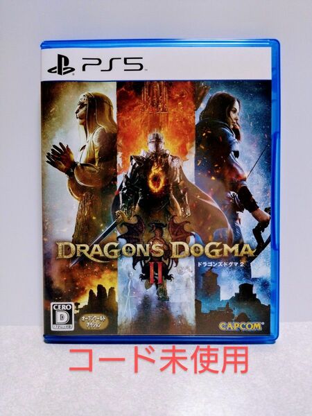 【PS5】 ドラゴンズドグマ2