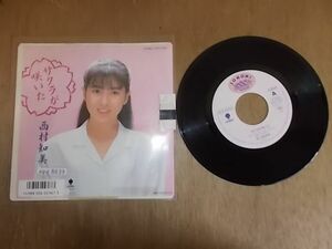 epg8839　EP放送局見本盤　【A-A不良T-有】　西村知美/サクラが咲いた