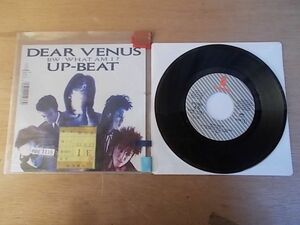 epg1115 EP broadcast department sample record [A-A defect T- have ] UP-BEAT/DEAR VENUST