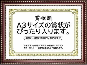 送料無料！ 修了書 写真入れ 功労賞 写真立て 高級 フォトフレーム 感謝状 壁掛け 縦横対応 A4・A3サイズ 寄せ書き 賞状