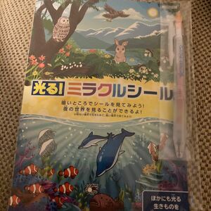 わくわくチェンジ☆文具セット　光る！ミラクルシート、マーブルカラーチェンジペン