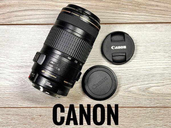 ★安心保証★送料無料★CANON EF 70-300mm f/4-5.6 IS USM