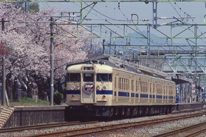 115系 ひろしまCity 廿日市の桜