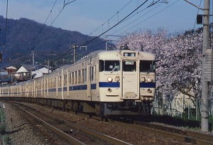 115系 3000番台 安芸中野の桜