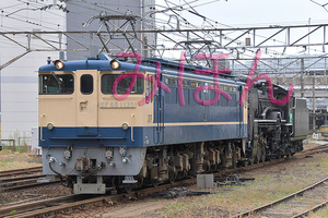 EF65 1135 + D51 200 _DSC5017.jpg