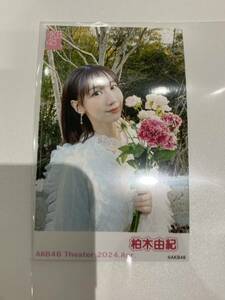 AKB48 柏木由紀 劇場限定 チェキ風写真 ピンポンチャレンジ 生写真