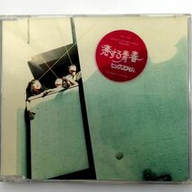 ヒックスヴィル / 恋する青春 (CD)_画像1
