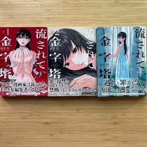 流されて金字塔１〜３ 稲妻桂