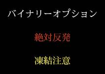 バイナリー代行30日で1万円を230万円に_画像3