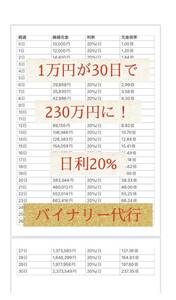 バイナリー代行30日で1万円を230万円に