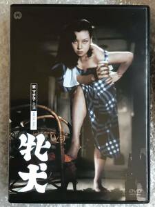 DVD『牝犬』志村喬，京マチ子，根上淳，加東大介、北林谷栄，久我美子，木村恵吾