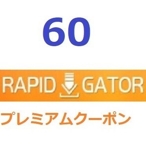 Rapidgator プレミアム公式プレミアムクーポン 60日間 入金確認後1分～24時間以内発送の画像1
