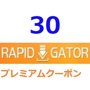 Rapidgator プレミアム公式プレミアムクーポン 30日間 帯域幅１TB入金確認後1分～24時間以内発送の画像1