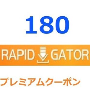 Rapidgator プレミアム公式プレミアムクーポン 180日間帯域幅６TB 入金確認後1分～24時間以内発送の画像1