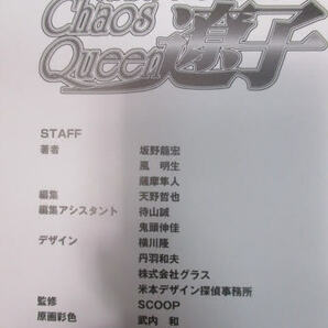 ◆カオスクイーン 遼子 原画集◆1998年9月18日 第１刷発行 初版 クリエイティブシリーズ７ 本 レア 稀少♪H-170417カナの画像9