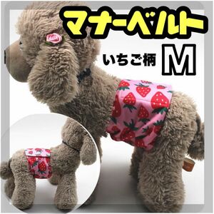  strawberry M manner band manner belt manner wear cat clothes dog. clothes male manner pants ... clothes 