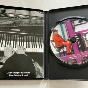 【DVD】 Anne Maregiano ： Charlemagne Palestine - the golden sound シャルルマーニュ・パレスタイン PAL形式 RE:VOIRの画像2