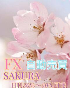  FX 自動売買　SAKURA 日利30％〜50％可能 最速爆益EA