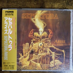 【国内盤CD帯付き】セパルトゥラ　アライズ　SEPULTURA　ARISE　パワー/スラッシュメタル名盤#008