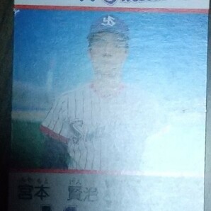 タカラプロ野球カードゲーム昭和６２年度ヤクルトスワローズ 宮本賢治の画像3