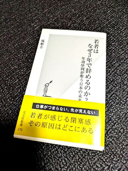 若者はなぜ3年で辞めるのか? 年功序列が奪う日本の未来 光文社新書 城繁幸