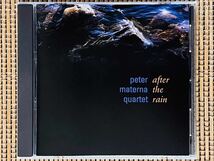 PETER MATERNA／AFTER THE RAIN／CREATIVE MUSIC RECORDS REA 9202-2／独盤CD／ペーター・マテルナ／中古盤_画像1