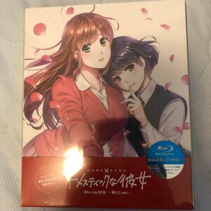 BD ドメスティックな彼女 Blu-ray BOX -袋とじver.- [DMM pictures]