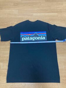 パタゴニア Tシャツ XS ノースフェイス