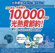 ★送料無料エリアあり★ コストコ P&G アリエール ジェルボール 4D 洗濯洗剤 詰替え 113個入り×2セット D80_画像3