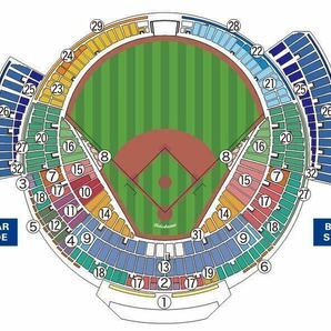 横浜DeNA vs 巨人 4月27日 内野指定席C 1塁側 通路側 ペアの画像1